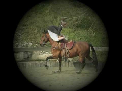 La Robinette - Entrainement Voltige - Audrey HASTA LUEGO HORSE SHOW