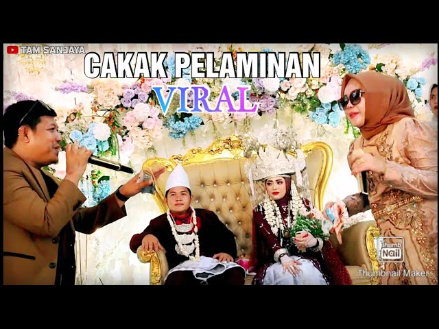Lagu Lampung viral - CAKAK PELAMINAN - Tam Sanjaya - Cipt. Robi Ratai ( Live panggung ) class=