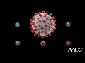 Are Antigens the Answer to Coronavirus Testing?