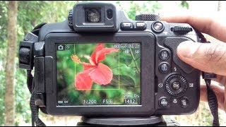 nikon camera background manual b500 coolpix blur mode p1000 p900 b700 tutorial