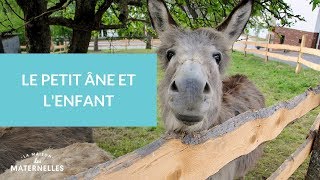 Le Petit Ane Et L Enfant La Maison Des Maternelles Lmdm Youtube