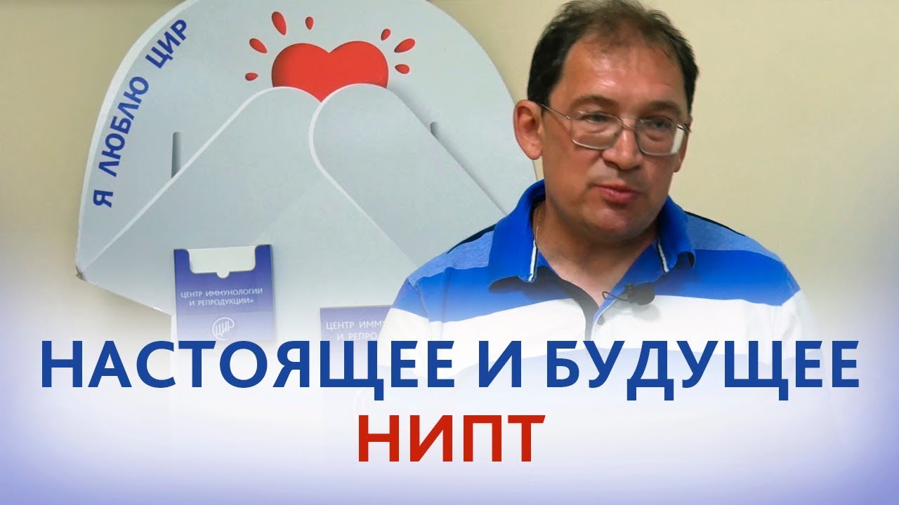 НИПТ (неинвазивный пренатальный тест) и СКРИНИНГ при беременности. ЧТО ...