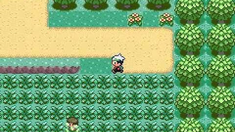 Route1andPalletTown in Pokemon Emerald