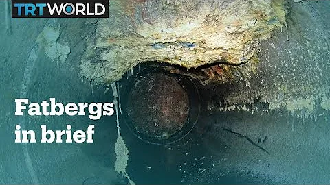 What are fatbergs?