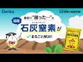 【肥料】石灰窒素の基礎知識　～農家の「困った…」を石灰窒素がまるごと解決～