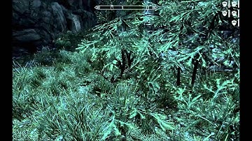 skyrim Episode 5 part 2 The Path of the Druid