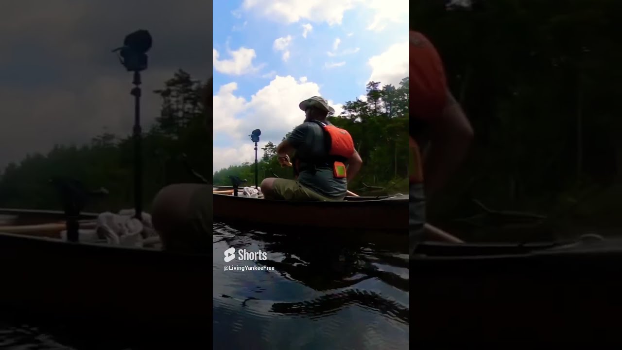 One of my boys and I on a nice quiet paddle. #ASMR #peaceful #canoe #paddle #fatherson  #boat