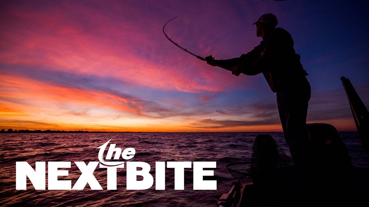 The Next Bite Season 18 Show Open - YouTube