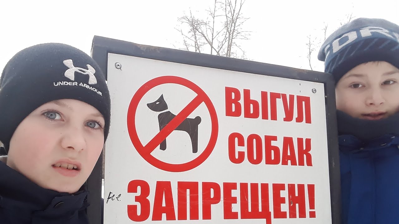 Бас влог опель