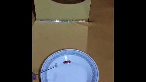 Red mercury mirror test fille