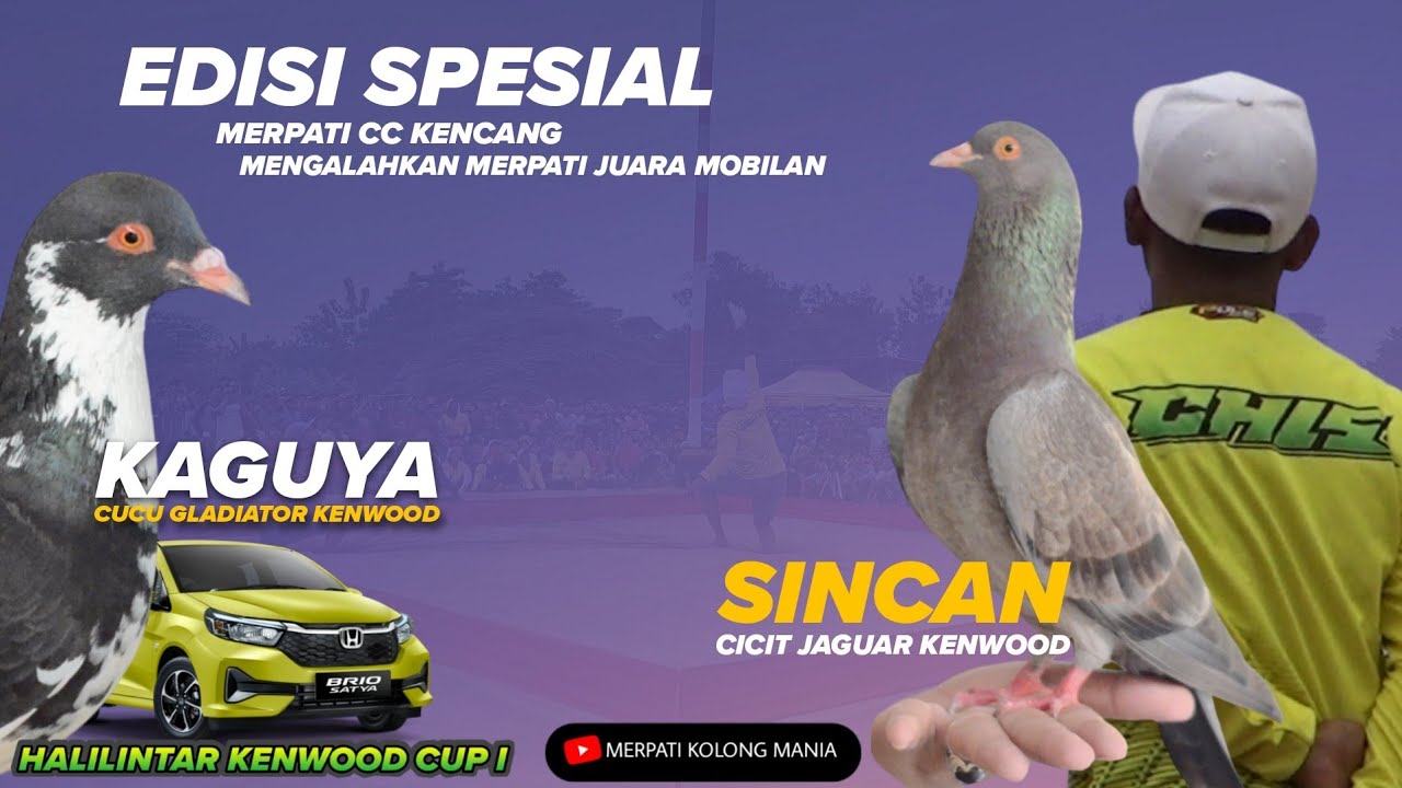 EDISI SPESIAL KAGUYA & SINCAN MERPATI LosDoR Cicit JAGUAR & CUCU GLADIATOR KENWOOD Team CHIS CLOTING