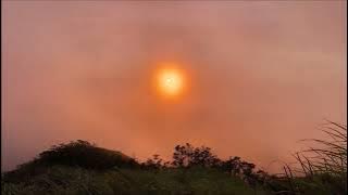 Lyra Lane - Lonely Storm (孤獨風暴)