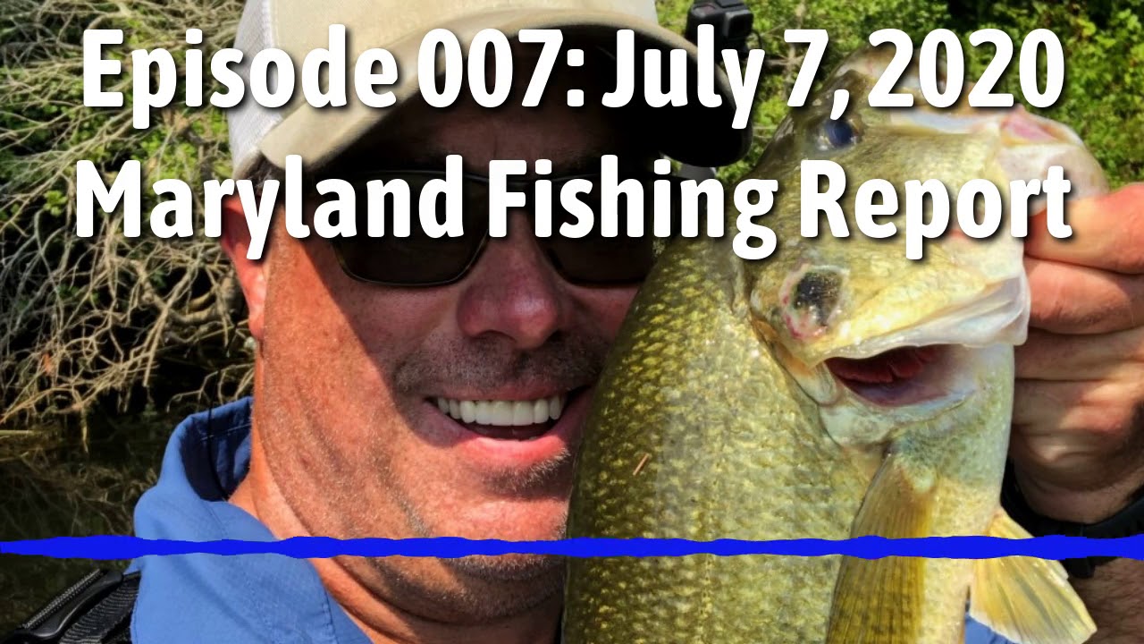Maryland Fishing Report July 7, 2020 (Podcast Audio) YouTube