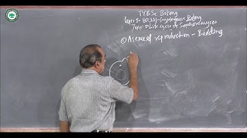 T.Y.B.Sc.(Botany) || Topic: Lifecycle of Saccharomyces || By Prof. Mate H.T.