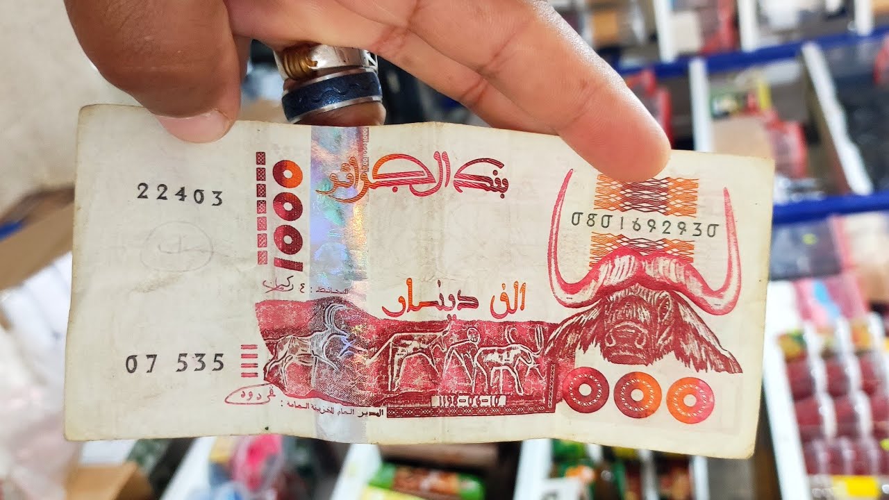 ابدي مشروعك غير بصوميل  او 1000دج يدخل فيدة  ربي يبارك ومشروع بزاف سهل