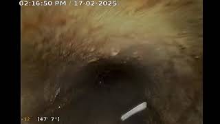 Sewer Scope(SW 139th Ave) 02-17-25