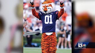Celebrity All About Aubie: The magic behind Auburn University's beloved mascot Net Worth