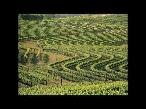 Хванчкара, Грузинские вина, красное вино, Khvanchkara, Georgian wine, red wine, ხვანჭკარა