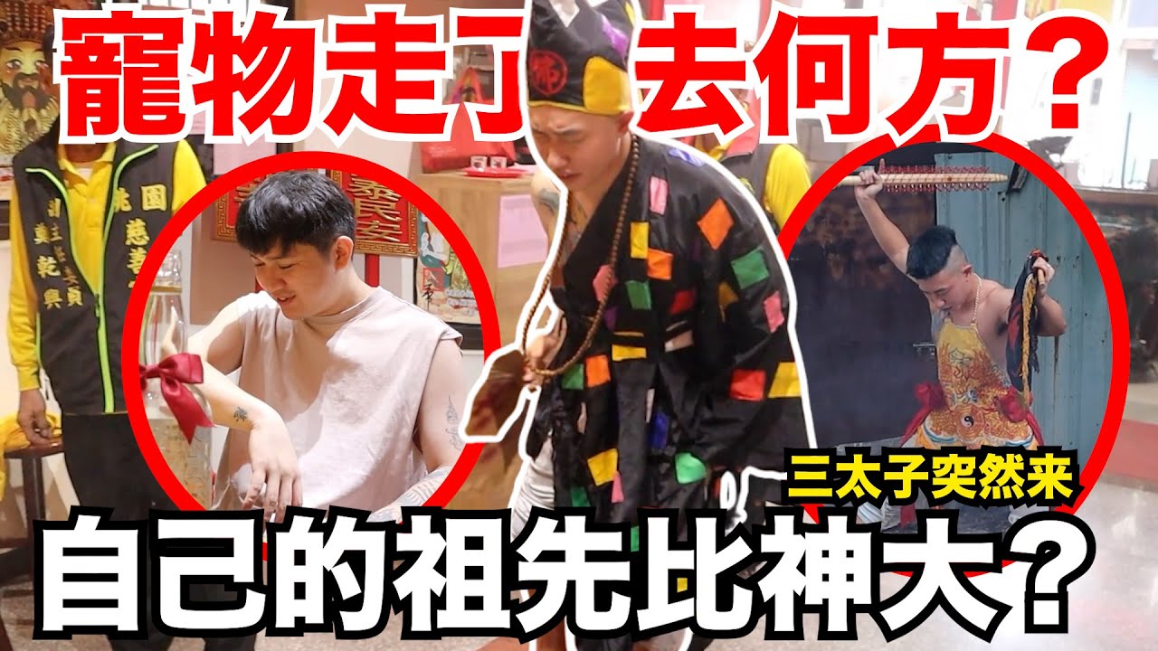 【與神對話】濟公來了！寵物四後去哪裏？童身才剛車禍就能辦事？自己的祖先比神大？！