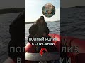 капитан  #рыбалка #рыбалканаозере #fishing  #рыба  #озеро