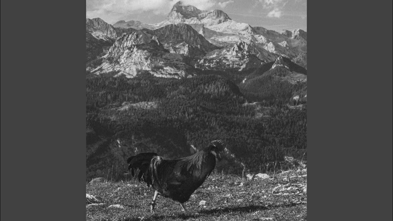 Guarda Rooster Mountain su YouTube Guarda Rooster Mountain su YouTube