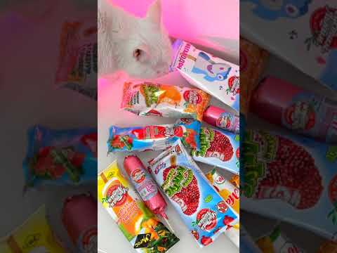 КОШКА СТАЛА РОЗОВОЙ😳