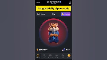 1 august | daily cipher code | hamster kombat | hamster kombat codes | today
