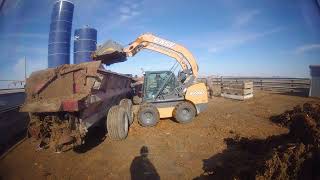 Loading the manure spreader.