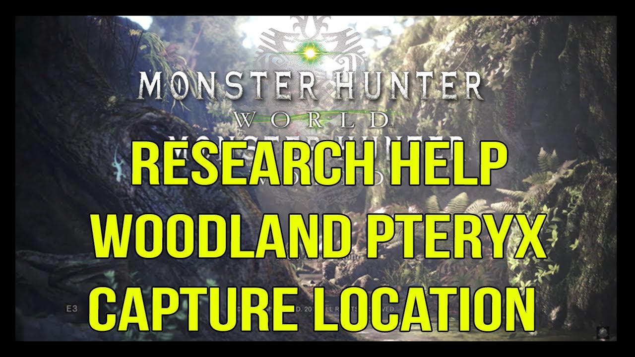 research help woodland pteryx capture