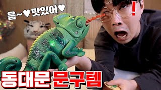 Interesting Toys Sold at Korean Toy Stores [Kkuk TV]