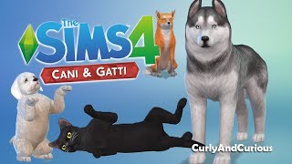 The Sims 4 Cani&Gatti - Ad Ognuno il Suo!! [Crate a Pet]