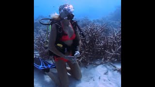 Blonde Female Scuba Diver Explores Coral Reef