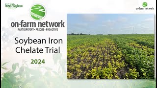 Soybean Iron Chelate Trial 2024 On-Farm Network Results