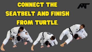 Submission From Turtle Position