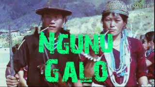 Ngunu  Galo mokom regge na