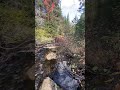Going for a ride into nature #nature #outdoors #bike