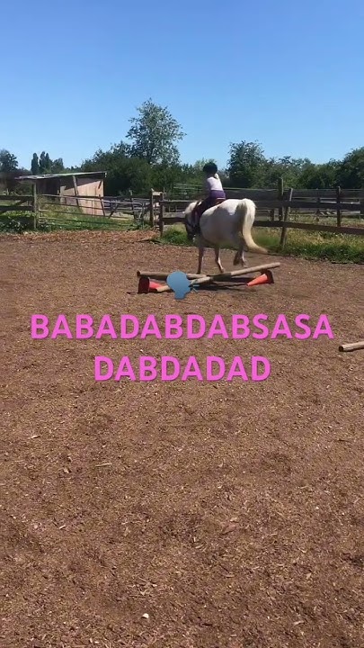 what-do-guys-mean-horseback-riding-is-not-a-sport-tell-me-in-the