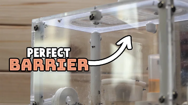 How To Prevent Your Ants From Escaping