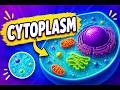 Cytoplasm Explained | Class 9 Biology | Structure &amp; Functions of Cytoplasm | PCTB 2026