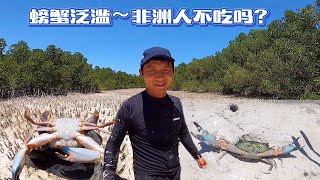 《环球探海记》坦桑尼亚~第32天：这红树林的螃蟹泛滥，非洲人为啥都不吃，它不香吗？