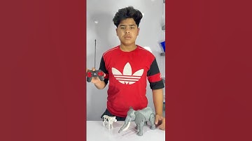 Remote control elephant 🐘 with Rc cow 🐄 testing