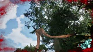 Spawn In Raptor Kill