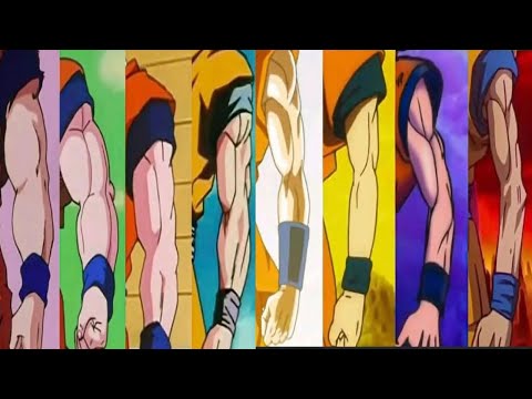 What happened to Goku?