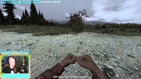 DayZ: I Don