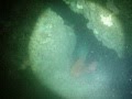 SFAKIA Diving in a sweet water cave