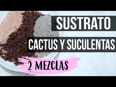 COMO PREPARAR SUSTRATO PARA CACTUS Y SUCULENTAS 2018 - 2 TIPOS DE MEZCLA -  YouTube