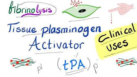 Tissue Plasminogen Activator (tPA) - Uses - Hematology - Pharmacology