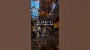 قرأن كريم ♡| تلك حدود الله ومن يطع الله ورسوله | سورة النساء | القارئ ياسر الدوسري | كروما سوداء