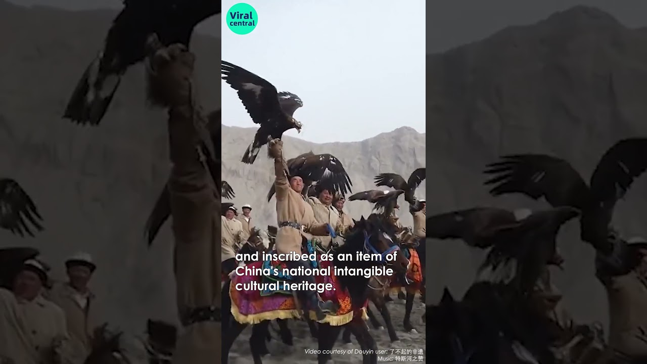 Carrying a falcon on the hand while riding a horse is the life of a falcon trainer!