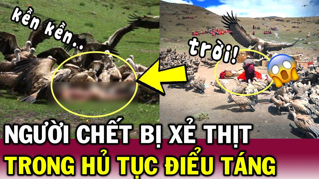 Hãi hùng trước tục ĐIỂU TÁNG ở TÂY TẠNG Hàng trăm con chim XÂU XÉ x.á